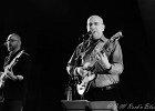 Hideaway : Eric Vandekerckhove (basse), Ralph Bonte (chant, guitare), Jean-Marie Herman (guitar), Patrick Cuivers (claviers), Geeraard de Groote (sax), Johan Guidée (batterie)